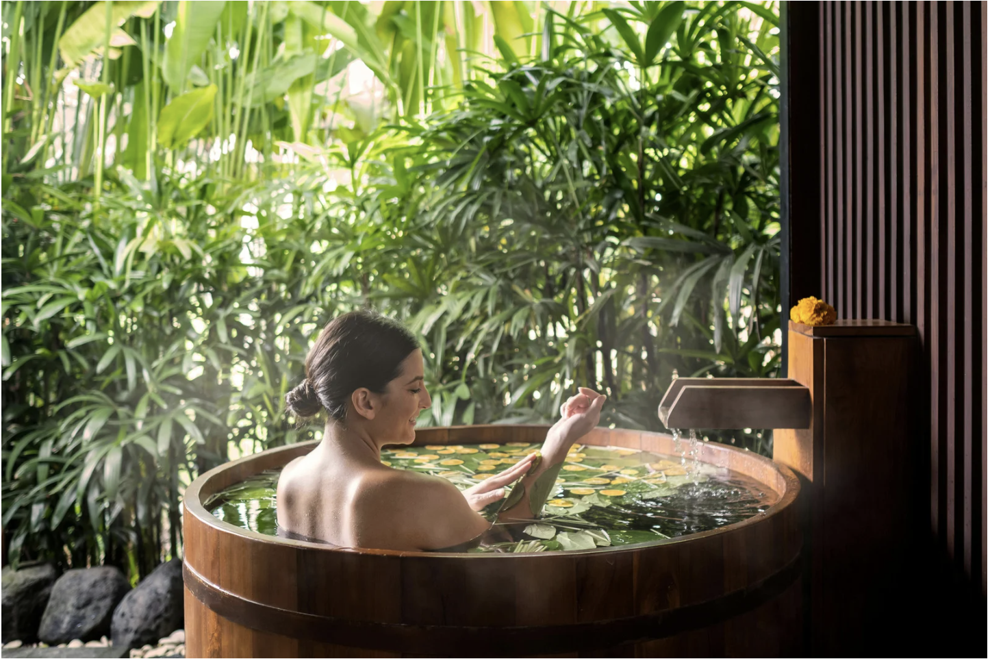 世界のSPA