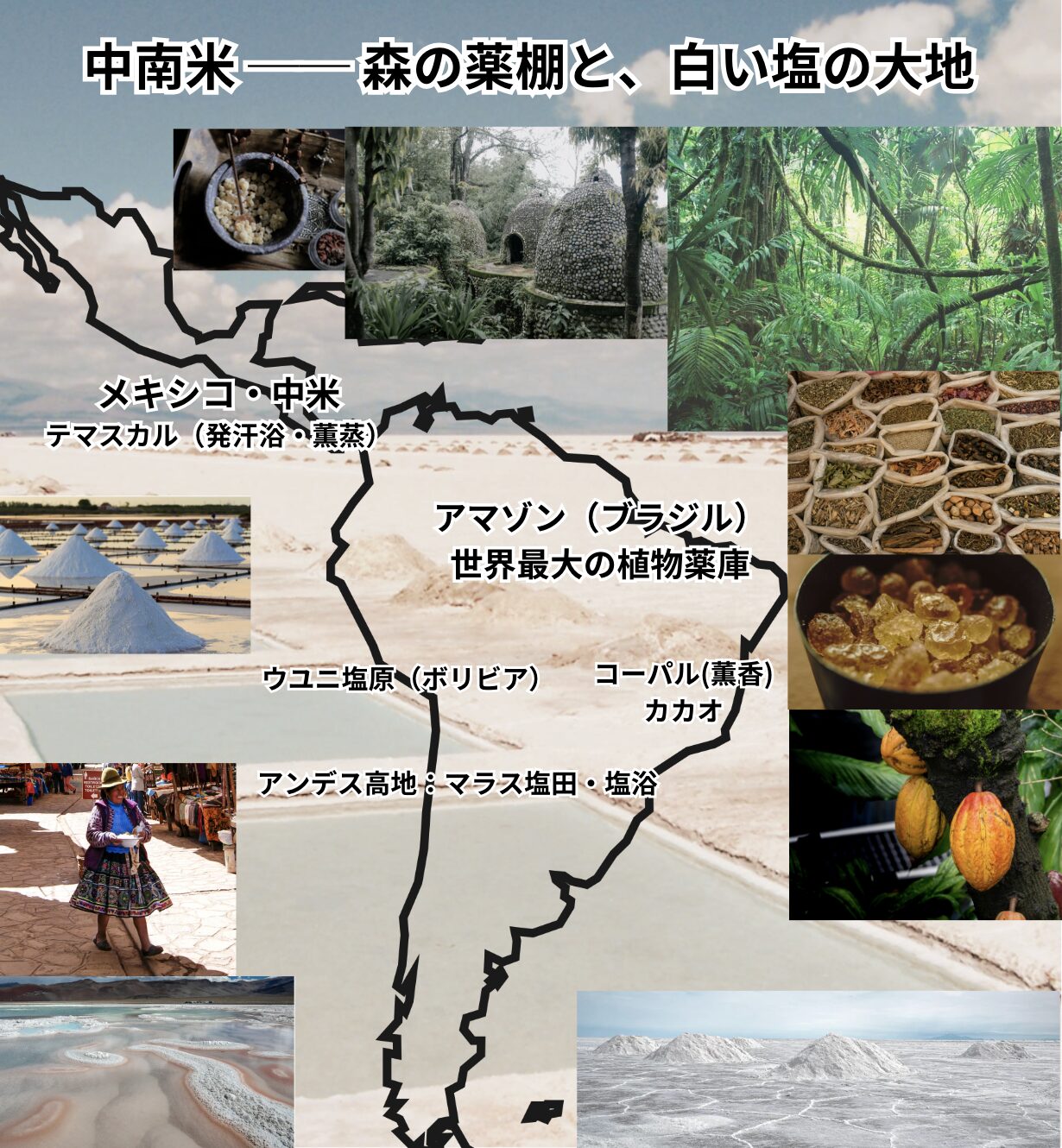 中南米 ── 森の薬棚と、白い塩の大地